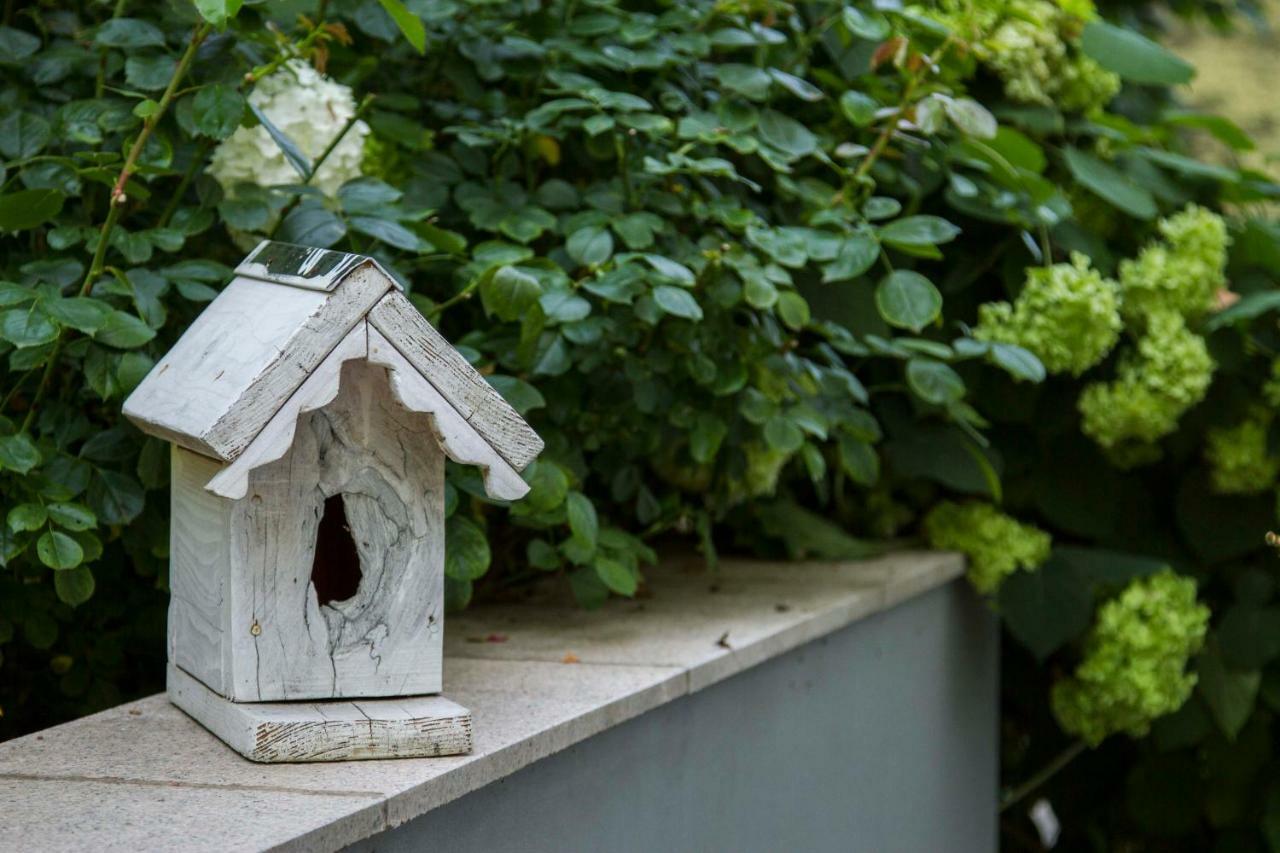 Apartment Magnolija - Free Parking Károlyváros Kültér fotó