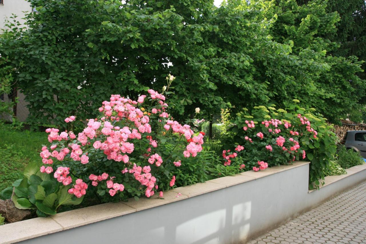 Apartment Magnolija - Free Parking Károlyváros Kültér fotó